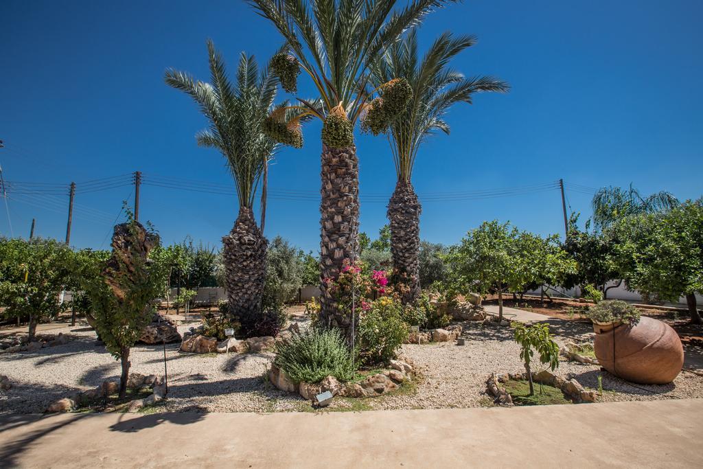 Papas Family Villa Paralimni Exterior foto